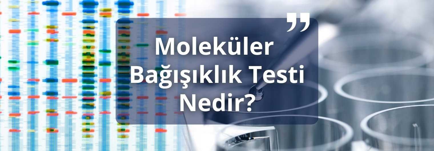 moleküler bağışıklık testi