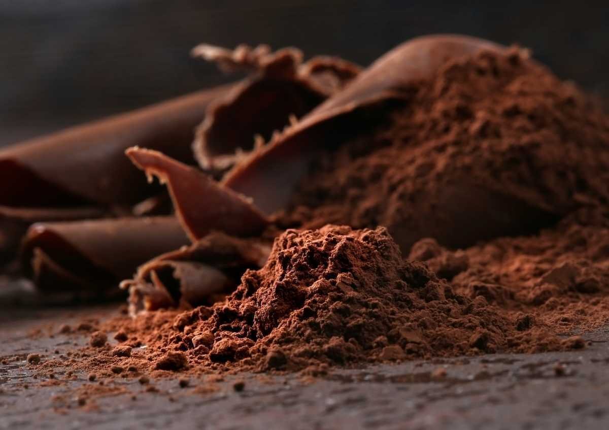 ahenkli Yeterli değil peynir  Kakao Alerjisi Nedir? Belirtileri Nelerdir? – İstanbul Alerji