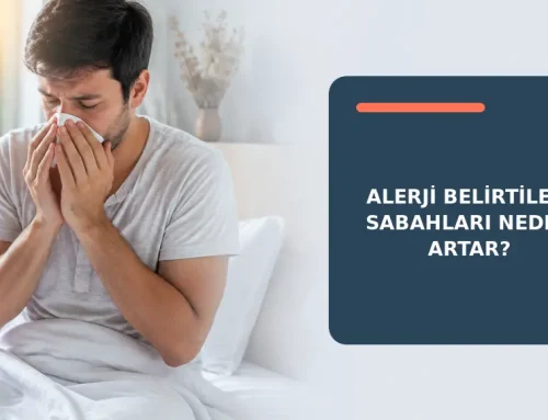 Alerji Belirtileri Sabahları Neden Artar?