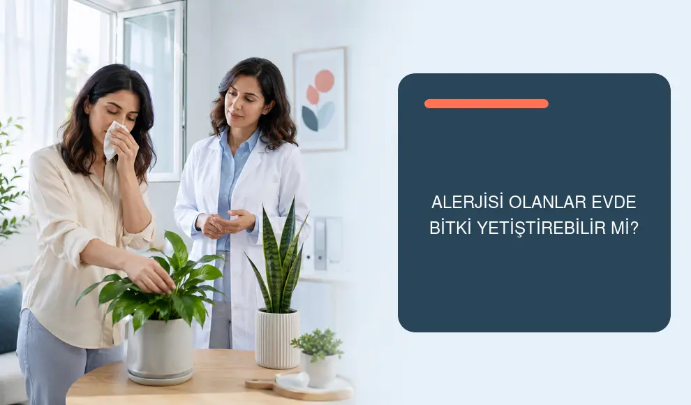 Alerjisi Olanlar Evde Bitki Yetiştirebilir mi? Alerjisi Olanlar Evde Bitki Yetiştirebilir mi?