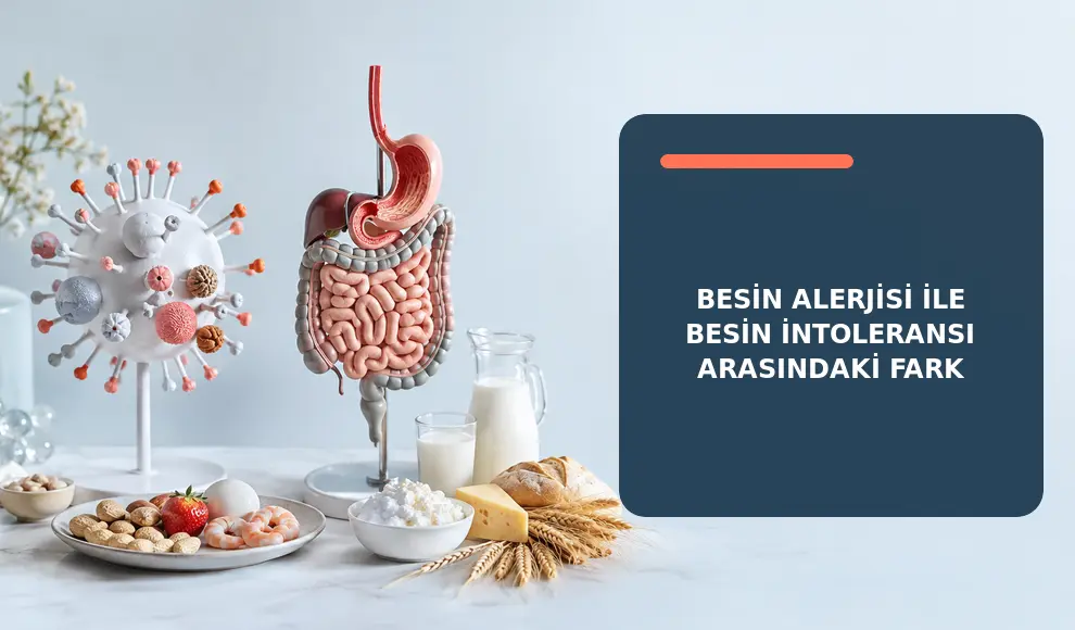 Besin Alerjisi ile Besin İntoleransı Arasındaki Fark