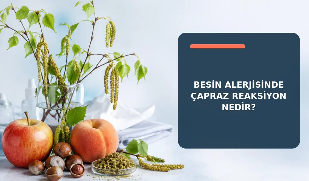 Besin Alerjisinde Çapraz Reaksiyon Nedir? Besin Alerjisinde Çapraz Reaksiyon Nedir?