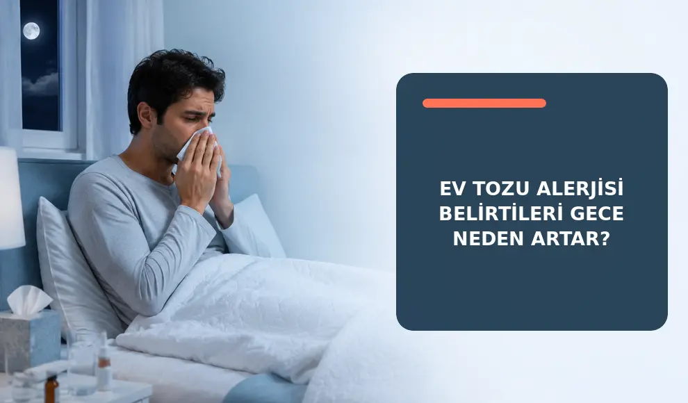 Ev Tozu Alerjisi Belirtileri Gece Neden Artar? Ev Tozu Alerjisi Belirtileri Gece Neden Artar?