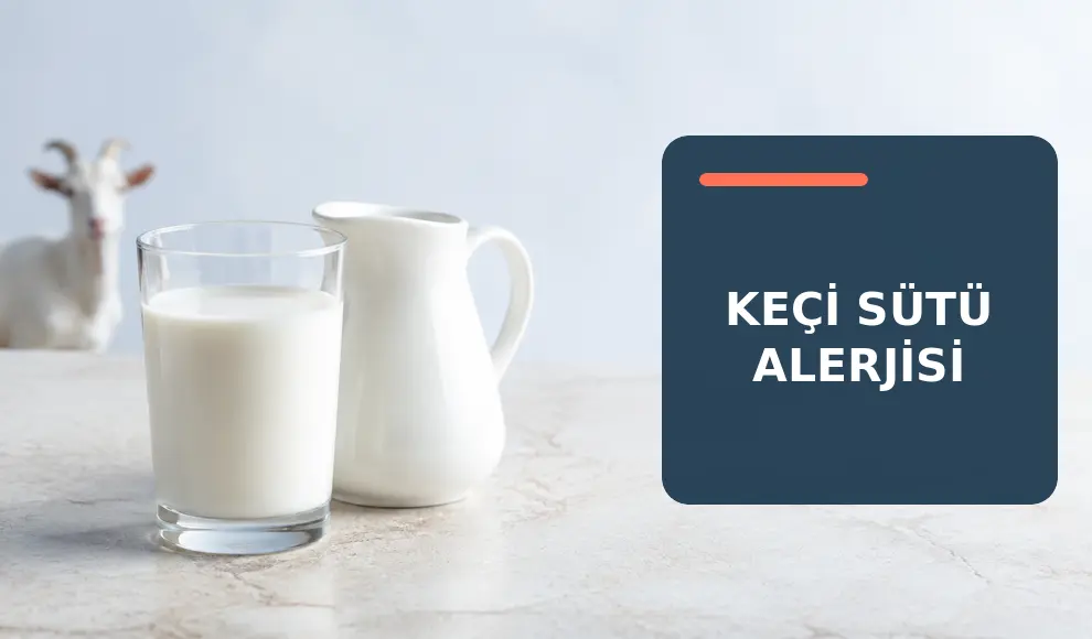 Keçi Sütü Alerjisi