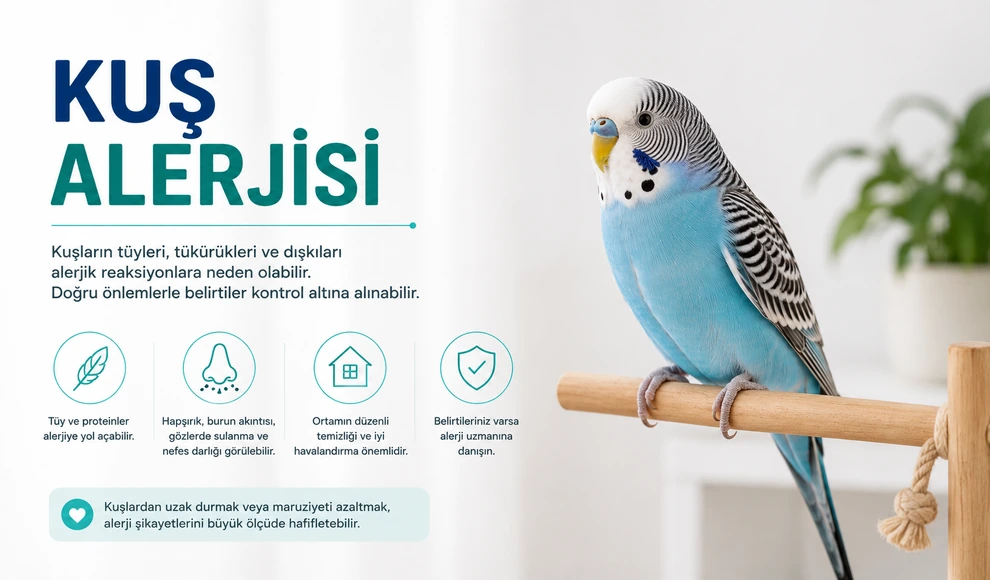 Kuş Alerjisi