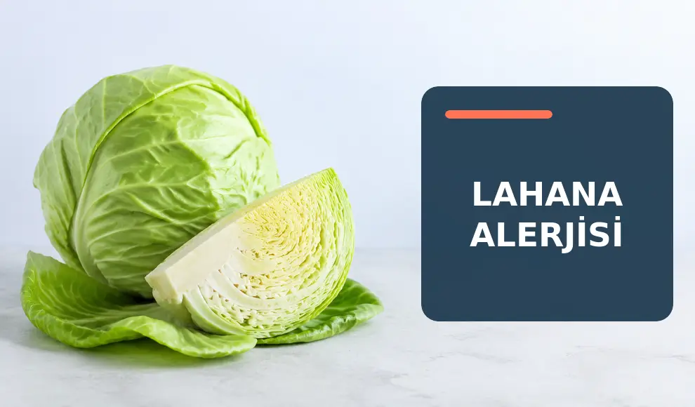 Lahana Alerjisi Lahana Alerjisi