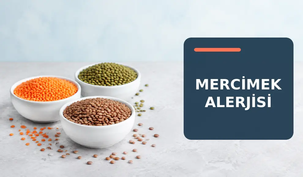 Mercimek Alerjisi