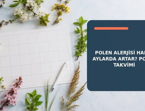 Polen Alerjisi Hangi Aylarda Artar? Polen Takvimi