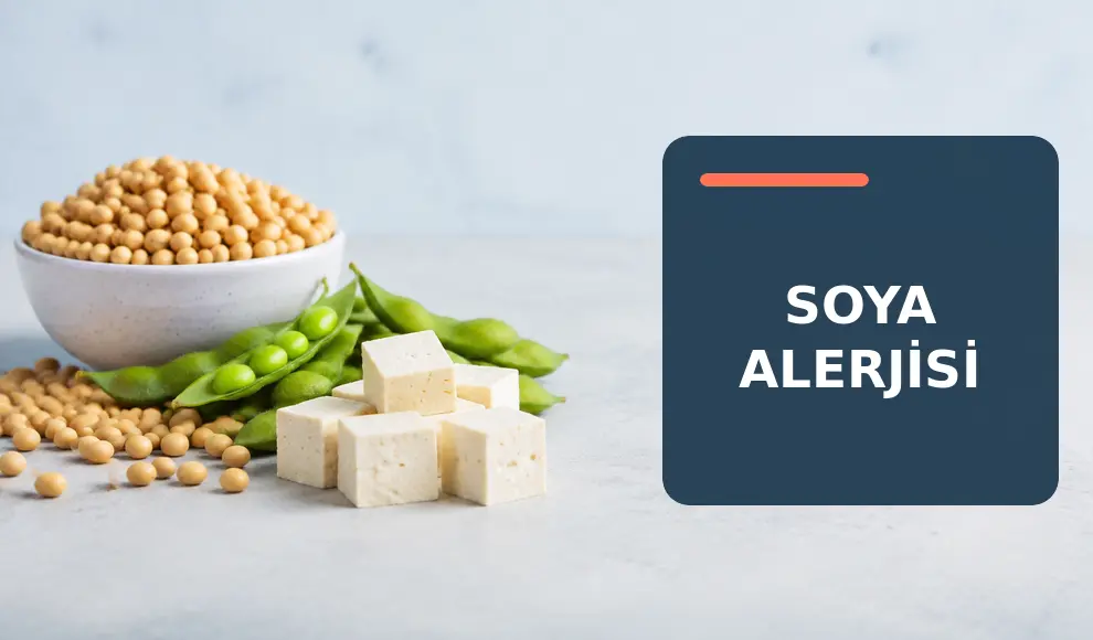 Soya Alerjisi