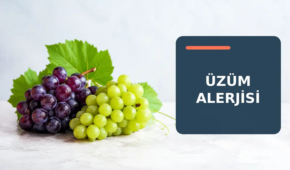 Üzüm Alerjisi Üzüm Alerjisi