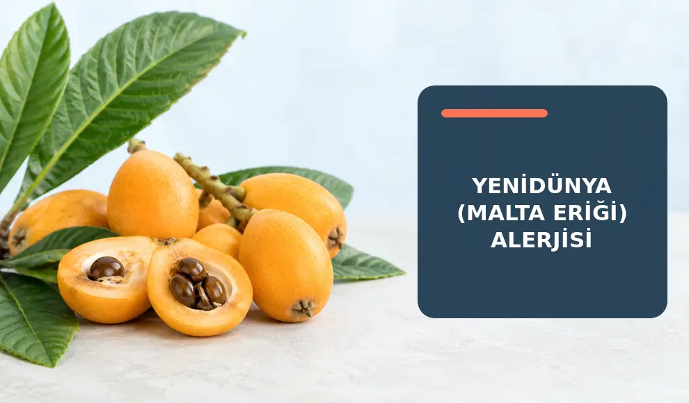 Yenidünya (Malta Eriği) Alerjisi
