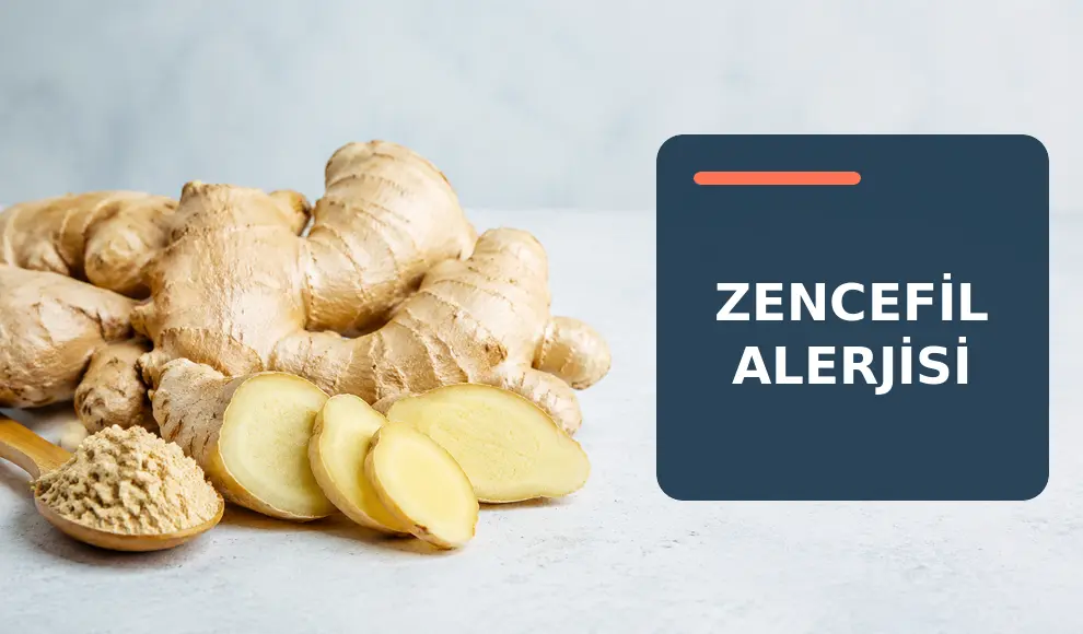 Zencefil Alerjisi