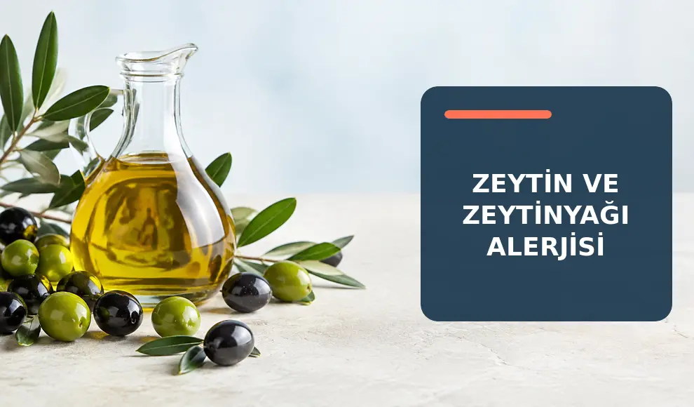 Zeytin ve Zeytinyağı Alerjisi Zeytin ve Zeytinyağı Alerjisi