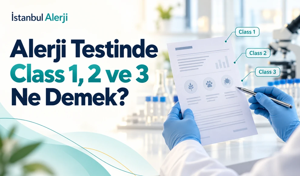Alerji Testinde Class 1, 2 ve 3 Ne Demek? Alerji Testinde Class 1, 2 ve 3 Ne Demek?