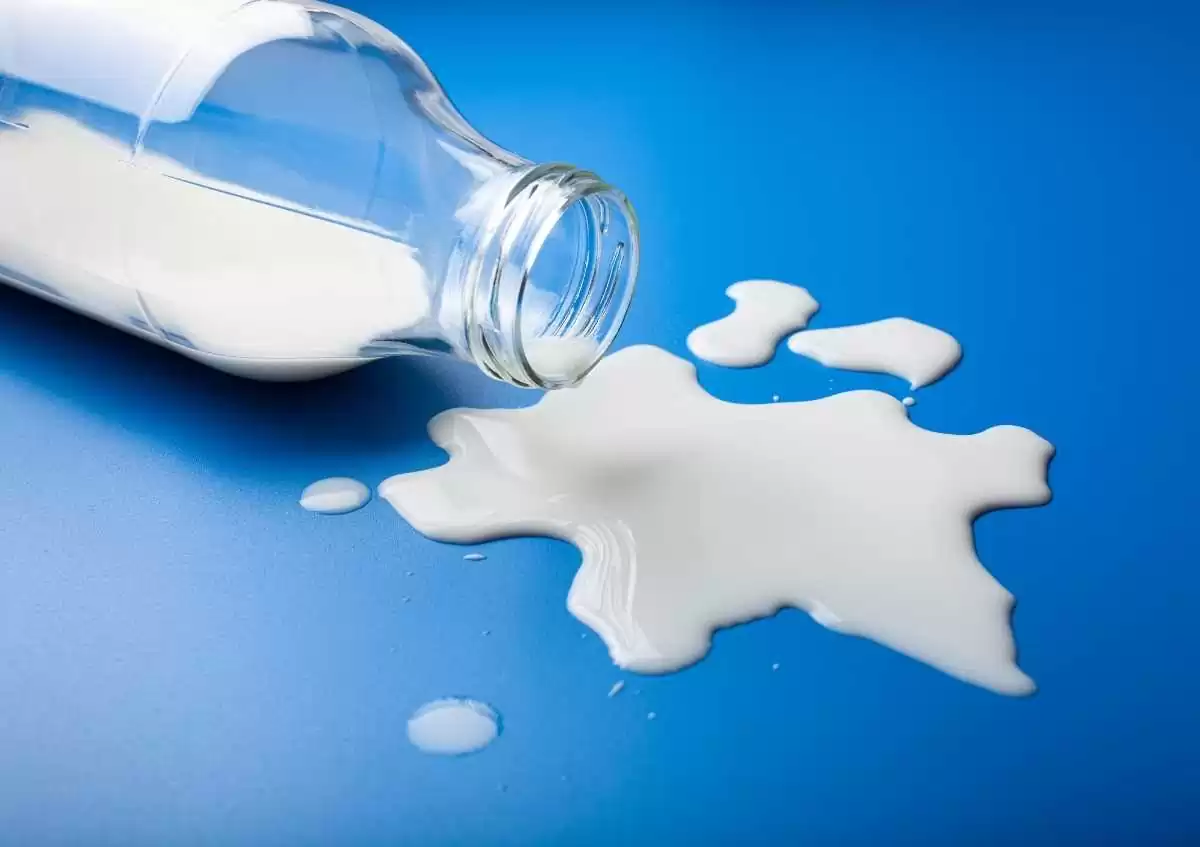 İnek Sütü Alerjisi Nedir Belirtileri Nelerdir